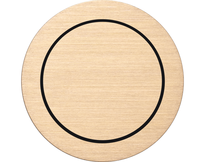 ROND 2.0 Push button 2X Switch Rond Geborsteld messing Small Trim