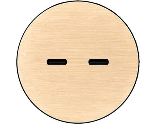 Rond 2.0 USB-C 2X (30W) - t.less - brushed brass USB-C module Rond