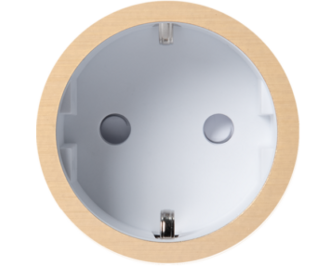 Rond 2.0 Socket F - t.less - brushed brass - white cup Socket module Rond