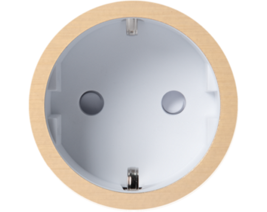 Rond 2.0 Socket F - t.less - brushed brass - white cup Socket module Rond