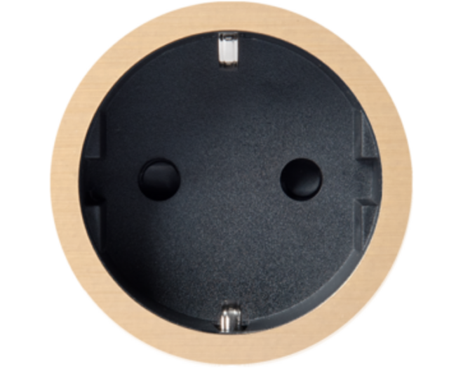 Rond 2.0 Socket F - t.less - brushed brass - black cup Socket module Rond