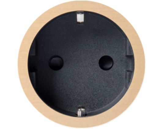 Rond 2.0 Socket F - t.less - brushed brass - black cup Socket module Rond