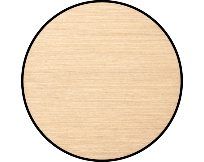 ROND 2.0 Push button 2X Switch Rond Geborsteld messing Trimless